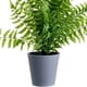 thumbnail image 2 of Planta Decorativa Helecho Artificial, 2 of 4