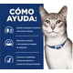 thumbnail image 4 of X6 Hill's Prescription Diet Kidney Care Gato Adulto 156 g c/u, 4 of 5