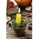 thumbnail image 4 of Musgo de reno Mosser Lee ML3010, color verde, 90 ml, 4 of 9
