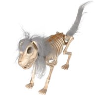 Magideal - Decoración De Esqueleto De Perro Para Halloween, 15 X 3,1 X 9,8 Pulgadas, Herramienta De Aprendizaje De Anatomía Para Casas Fantasma, Esqueleto Ligero