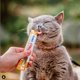 thumbnail image 3 of Pack Snack Para Mascotas Gatos Churu Pops Pollo 12 Tubos Inaba, 3 of 5
