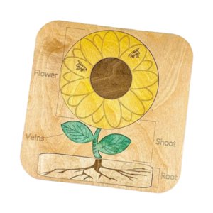 Bothyi - Rompecabezas De Girasol De Madera, Rompecabezas De Motricidad Fina, Colores, Formas, Guardería