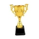 thumbnail image 3 of Trofeo de Premio Trofeos Pequeños para Trofeo de Recuerdo Copa Trofeo para Celebraciones Competición Favores de Fiesta Decoraciones Depo 17cm, 3 of 5