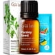 thumbnail image 1 of Aceite Esencial De Semilla De Perejil 10 Ml, 1 of 6