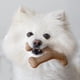 thumbnail image 2 of Juego De 1 Pieza Pequeña De Dog Chew Toys Fishbone Fishbone, 2 of 7