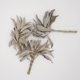 thumbnail image 4 of Herb Worldwide Botanicals 57 g Racimos de Salvia Blanca, 4 of 5