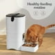 thumbnail image 3 of Comedero automático para gatos Pitpet 6L con pantalla LCD y grabadora de voz, 3 of 3