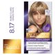 thumbnail image 1 of Coloración Cabello Rubio Claro Cenizo Matte Tono 8.17, 47 g, 1 of 1