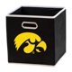 thumbnail image 1 of Contenedor de almacenamiento Franklin Sports NCAA Iowa Hawkeyes, 1 of 8