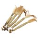 thumbnail image 2 of 5pcs Gato Masticar Palitos Catnip Masticar Juguete Dental Molar Dientes Limpieza Pluma, 2 of 5