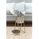 thumbnail image 1 of Gala Dorado Con Maceta Blanca S, 1 of 3