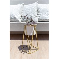 Kautiva - Gala Dorado Con Maceta Blanca S