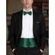 thumbnail image 1 of Faja Formal Corbatin Ajustables Hombre Matrimonio Cummerbund esmeralda Talla Única, 1 of 4