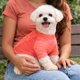 thumbnail image 5 of Playera para perro Pet Life Active Warf-Speed ultraelástica, 5 of 9