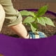 thumbnail image 5 of Bolsas para cultivo de plantas, macetas redondas elevadas para jardín, contenedor de tela transpirable y duradero para patatas, verduras y frutas, jardinería y exteriores., 5 of 5