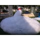 thumbnail image 5 of Paquete De Espuma En Polvo Dr Party Para Foam Cannon 95 L, 5 of 9