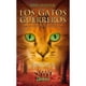 thumbnail image 1 of LIBRO Aurora (Los Gatos Guerreros | La Nueva Profecía 3), 1 of 2