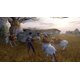 thumbnail image 5 of Paquete Heritage de Star Wars de Aspyr para Nintendo Switch, 5 of 7