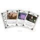 thumbnail image 2 of Juego de mesa WizKids Dungeons & Dragons: Edge of the Realms, 2 of 5