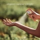 thumbnail image 5 of Perfume L'OCCITANE Osmanthus Eau de Toilette 75 ml para mujer, 5 of 5