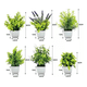 thumbnail image 3 of Plantas artificiales 6 pzs macetas bonsai, 3 of 3