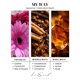 thumbnail image 3 of Aceite esencial LUXSCENT COLLECTION 500 ml sin agua, 3 of 7