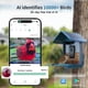 thumbnail image 4 of Comedero para pájaros con cámara, cámara inteligente con energía solar 2K, 4 of 8