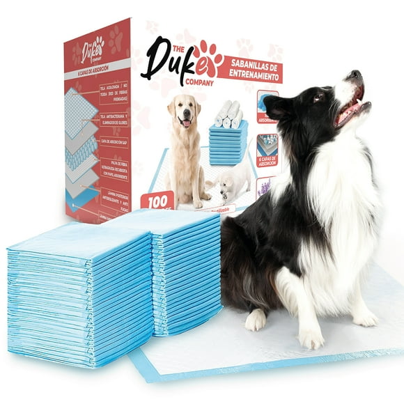 Sabanillas Para Perro 60x60 Duke 6 Capas Aromáticas 100U