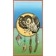 thumbnail image 3 of Las Cartas de la Medicina (libro + cartas), 3 of 4