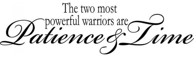 Rienda Libre Graphics - Decomural Patience And Time Inspirational Ws-17417