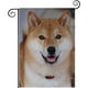 thumbnail image 1 of Shiba Inu-bandera de jardín temática. .28CM*45CM, 1 of 5