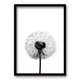 thumbnail image 1 of Cuadro Flor De Leon B 40x30cms, 1 of 1