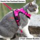 thumbnail image 4 of Arnés para gatos Mr. Peanut's PurrTrek Reflective con correa rosa XS, 4 of 9