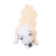 thumbnail image 3 of Simulación Animal Modelo Figura Juguete Decoración Para El Hogar Sue?o American Bully Pitbull B, 3 of 5