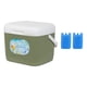 thumbnail image 4 of Nevera portátil clásica de 15 litros, resistente al agua, para coche, ideal para frío y calor. Verde, 4 of 5