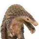 thumbnail image 3 of Figura de juguete Safari Ltd. Pangolín realista de 18 cm, 3 of 3