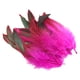 thumbnail image 1 of 50 Plumas Para Manualidades, Decoración Para Bodas, Joyería, Color Rojo Rosa, 1 of 5