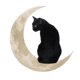 thumbnail image 3 of Gato De Hierro En La Ventana De Regalo De La Luna Colgando Rústico Para Baño Interior 30 Cm, 3 of 5