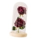 thumbnail image 3 of Flores Cubierta de Vidrio Amaranto, 3 of 3