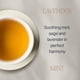 thumbnail image 4 of Té de hierbas, té rishi, lavanda, menta, orgánico, 15 bolsitas, 4 of 7