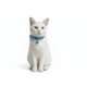 thumbnail image 3 of Collar Para Gato Gatita Anti Ahorque Con Lazo, 3 of 3