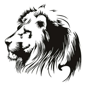 Rienda Libre Graphics - Decomural Lion Portrait African Animals Ws-15874