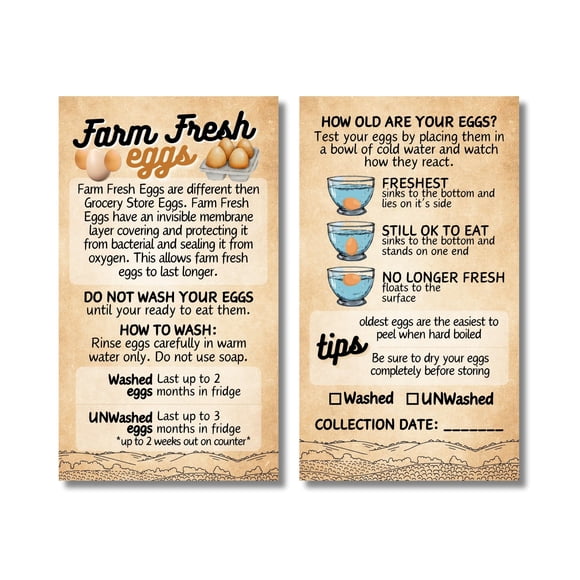 Tarjetas Tats4now 2×3,5 pulgadas – Pack de 55 – Huevos frescos de granja