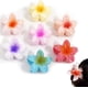 thumbnail image 1 of piezas de pinzas hawaianas de plumeria Cacampanao, pinzas de flores tropicales Cacampanaopin, lindas pinzas de flores Cacampanao antideslizantes, accesorios para mujeres y niñas, pinzas de mandíbula d, 1 of 7