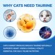 thumbnail image 3 of Suplemento De Taurina Kitty Supps Para Gatos 200 G, 3 of 7