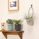 thumbnail image 5 of Paquete de 3 macetas suculentas de dos piezas de 3,5 pulgadas con drenaje, asa extraíble flexible, macetas para plantas pequeñas, macetas colgantes para pared o ventana., 5 of 8