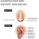 thumbnail image 5 of 5 aros para la nariz de acero quirúrgico de 20 y 18 g para piercing de nariz, tabique, cartílago, hélix, trago, caracola, lóbulo, 6, 7, 8, 9 y 10 mm, plateados, dorados y negros, para mujeres, hombres, 5 of 6