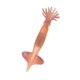 thumbnail image 2 of Modelo De Animal Marino Simulación Sólida Inteligencia Juguetes De Aprendizaje Calamar Rosado, 2 of 5