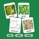 thumbnail image 4 of Toallitas Para Párpados Té Verde Ácido Hialurónico 200 Unidades, 4 of 9