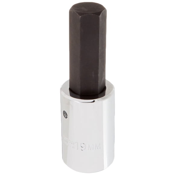 Set de conectores Proto 1/2 Drive Hex Bit 19 mm